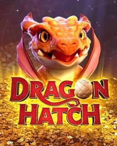zrjogo